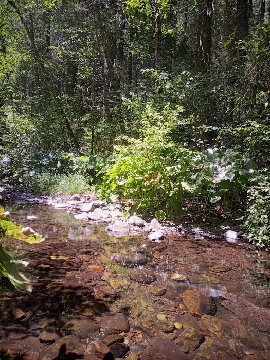 Clear Creek Campground Picture 2