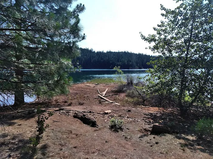 Minersville Campground Picture 9