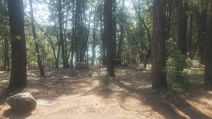 Minersville Campground Picture 5