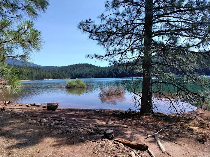 Minersville Campground Picture 10