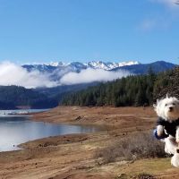 Minersville Campground ico