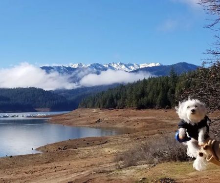 Minersville Campground