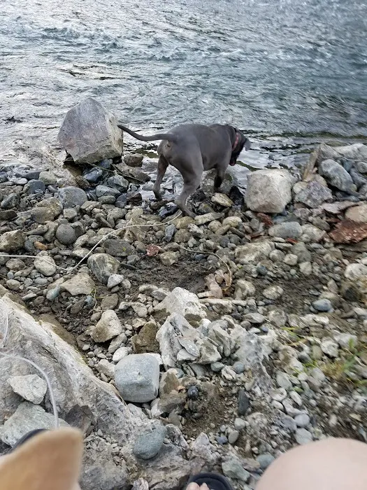 Douglas City Campground Picture 6