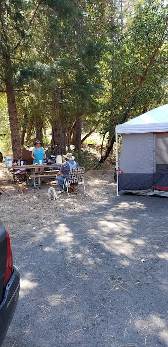 Douglas City Campground Picture 8