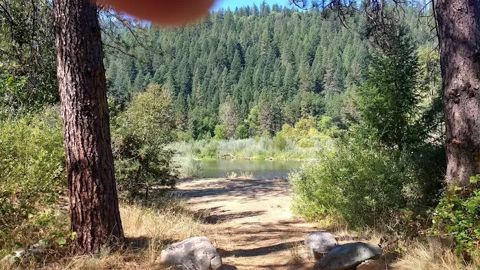 Douglas City Campground Picture 1