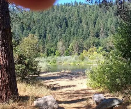 Douglas City Campground