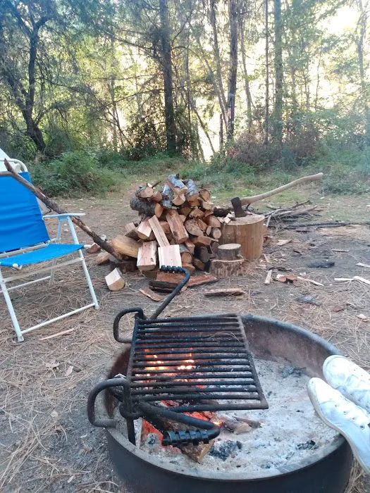 Steel Bridge Campground Picture 4