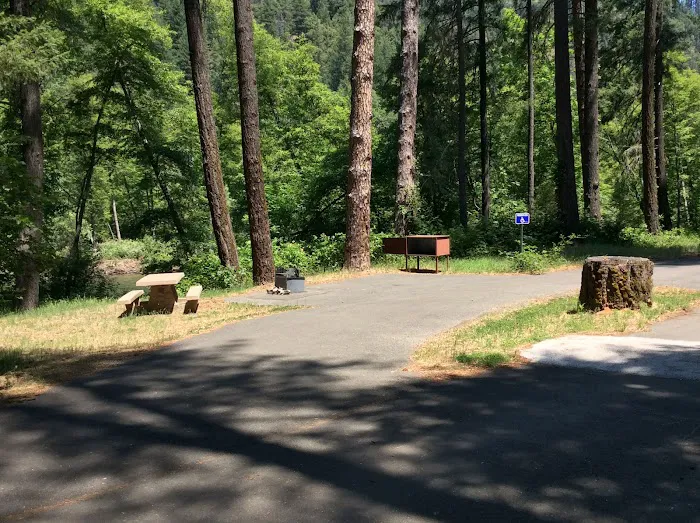 Steel Bridge Campground Picture 5