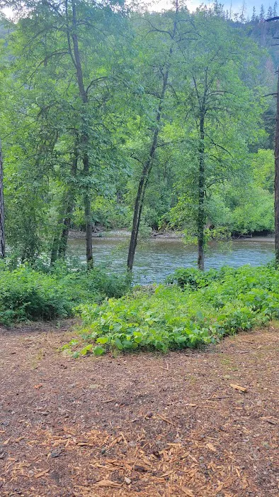 Steel Bridge Campground Picture 2