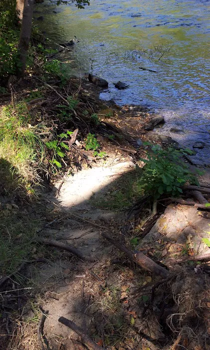 Steel Bridge Campground Picture 1