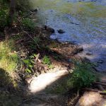 Steel Bridge Campground