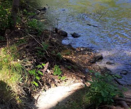 Steel Bridge Campground