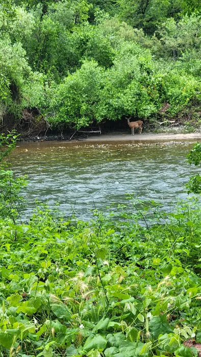 Steel Bridge Campground Picture 3