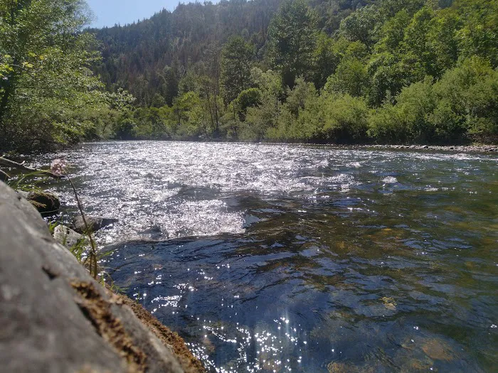 Steel Bridge Campground Picture 7