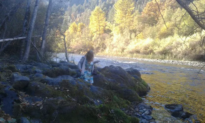 Steel Bridge Campground Picture 8