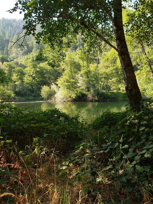 Steel Bridge Campground Picture 10