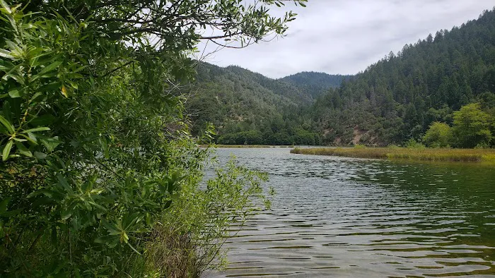 Cooper Gulch Campground Picture 5