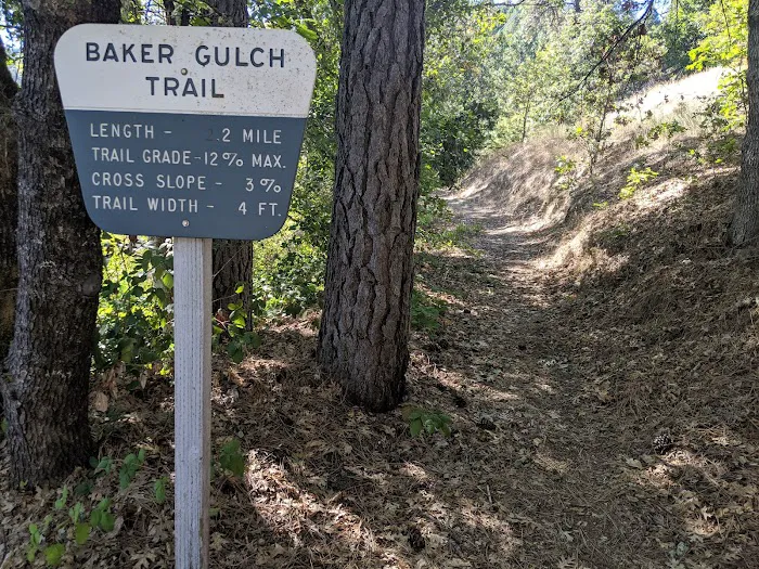 Cooper Gulch Campground Picture 3