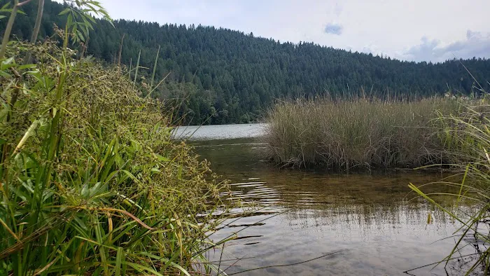 Cooper Gulch Campground Picture 6