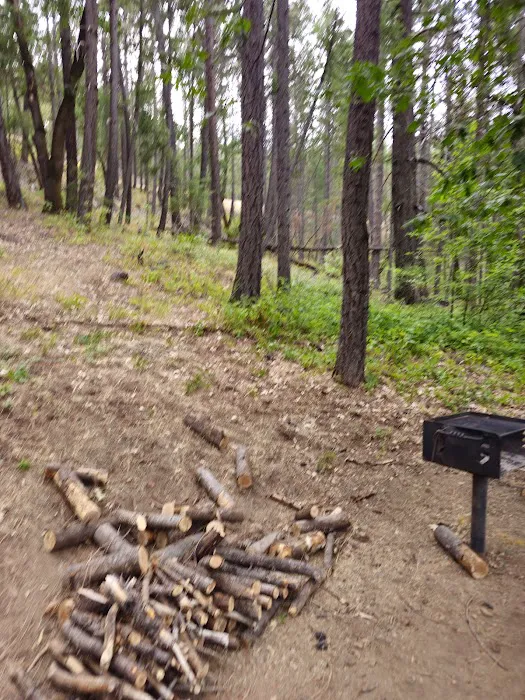 Mary Smith Campground Picture 5