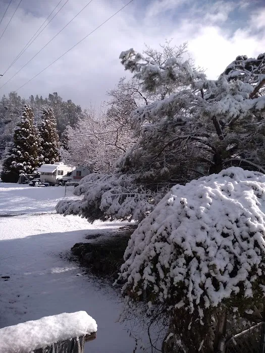 River Oaks Resort Picture 7