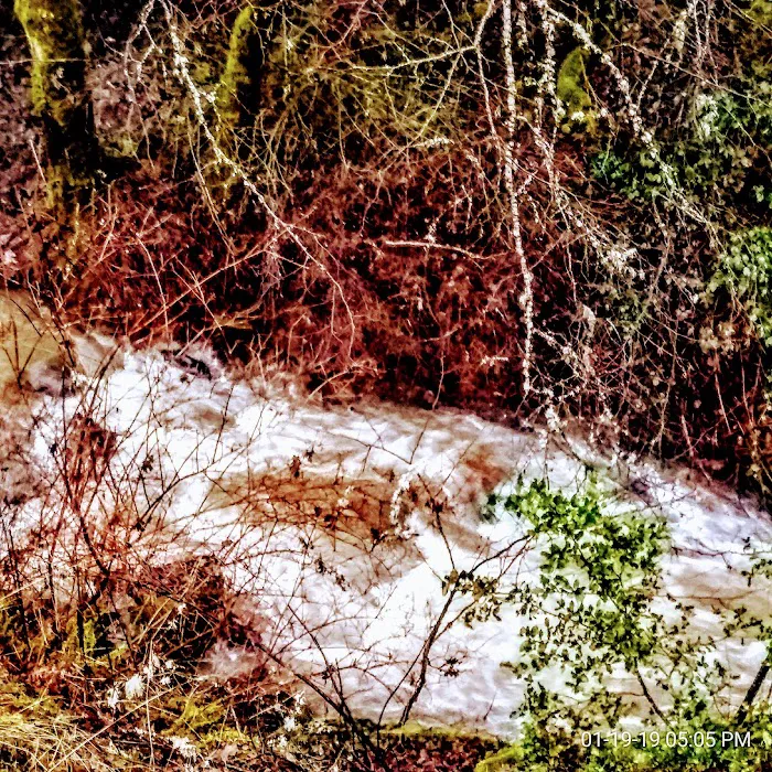 River Oaks Resort Picture 10