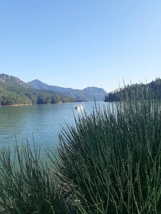 Hirz Bay Group 1 Picture 1