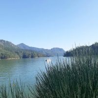 Hirz Bay Group 1 ico