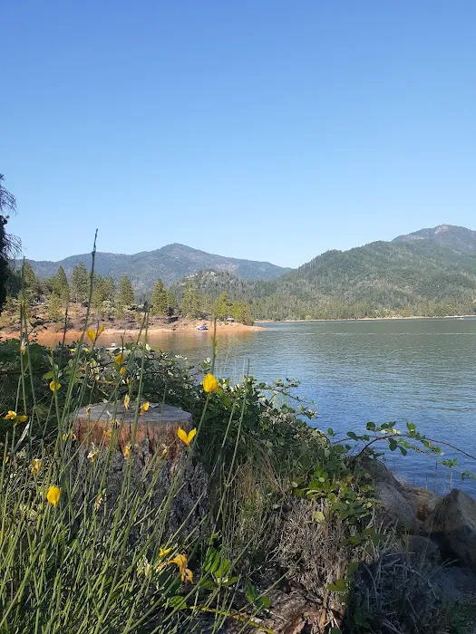 Hirz Bay Group 1 Picture 2