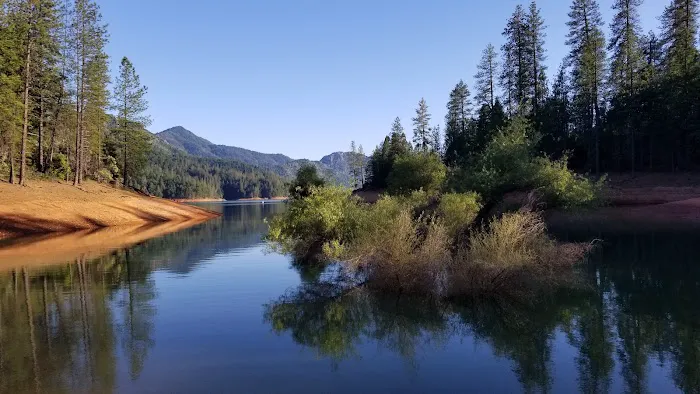 Hirz Bay Group 1 Picture 8