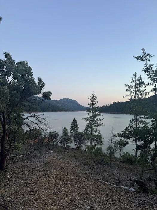 Hirz Bay Campground Picture 7