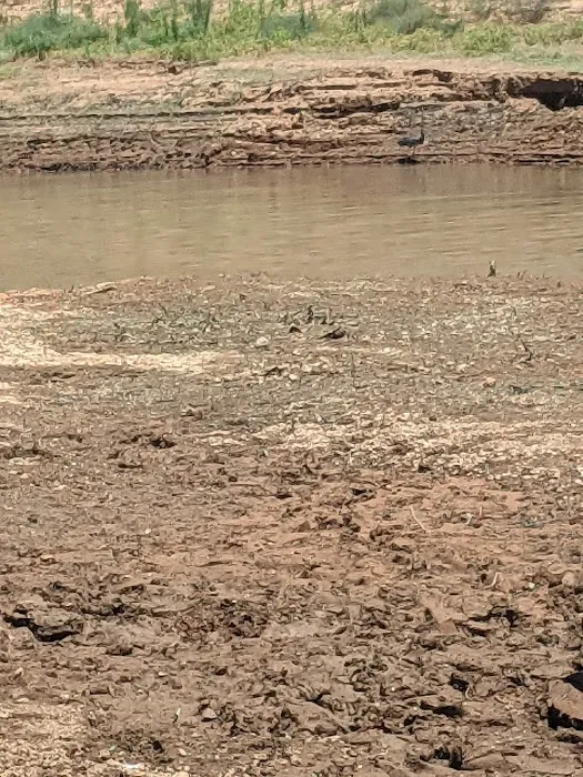 Hirz Bay Campground Picture 5