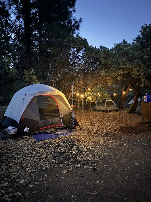 Hirz Bay Campground Picture 8