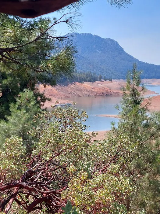 Hirz Bay Campground Picture 9