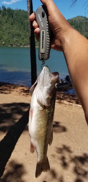 Arbuckle Flat Campground Picture 1