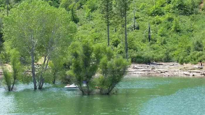 Rend Island Campground Picture 7