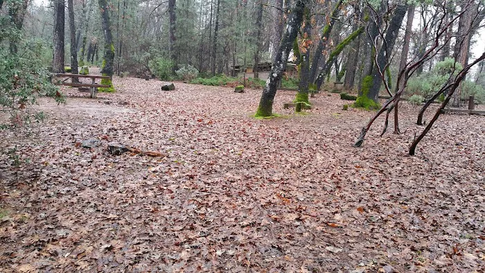 Gregory Creek Group Campground Picture 5