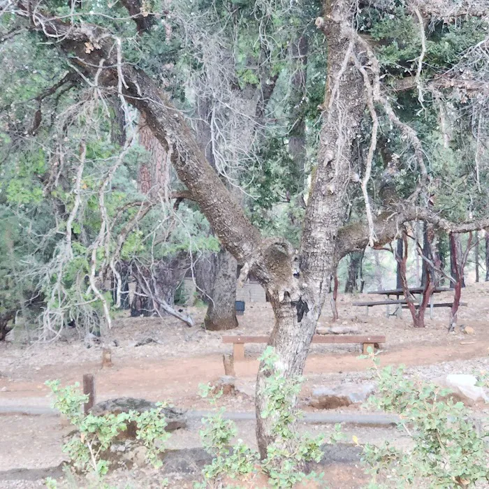 Gregory Beach Dispersed Area Picture 9