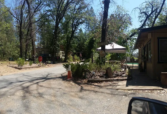 Lakehead Campground & RV Park Picture 2