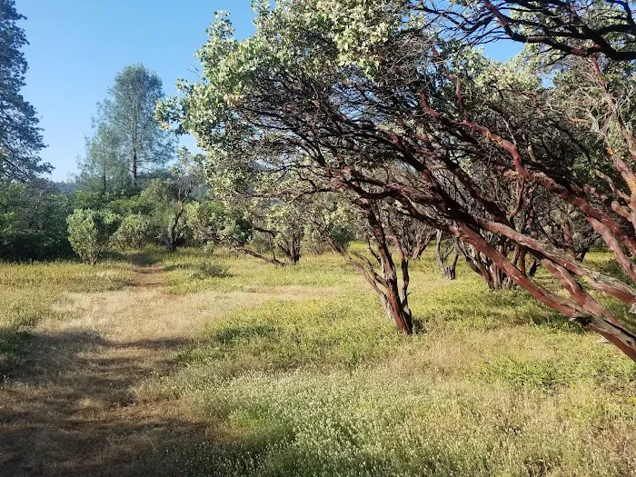 Antlers Campground Picture 10