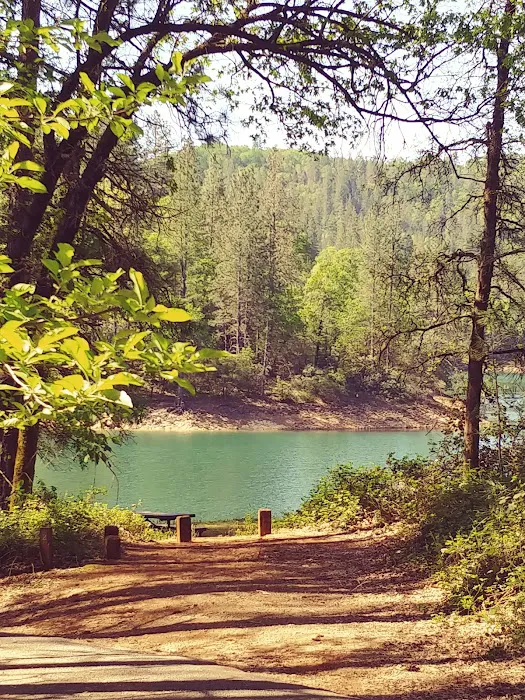 Nelson Point Campground Picture 9