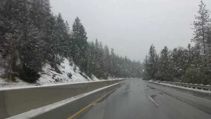 Nelson Point Campground Picture 8