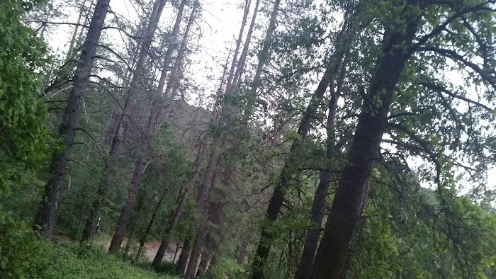 Nelson Point Campground Picture 4