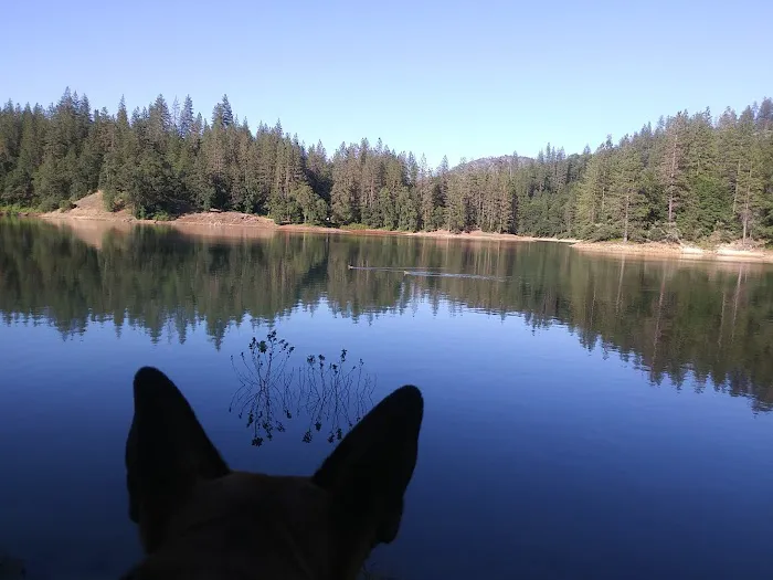 Nelson Point Campground Picture 3