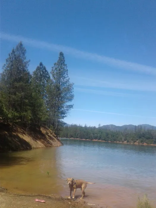 Salt Creek Dispersed Area Picture 7