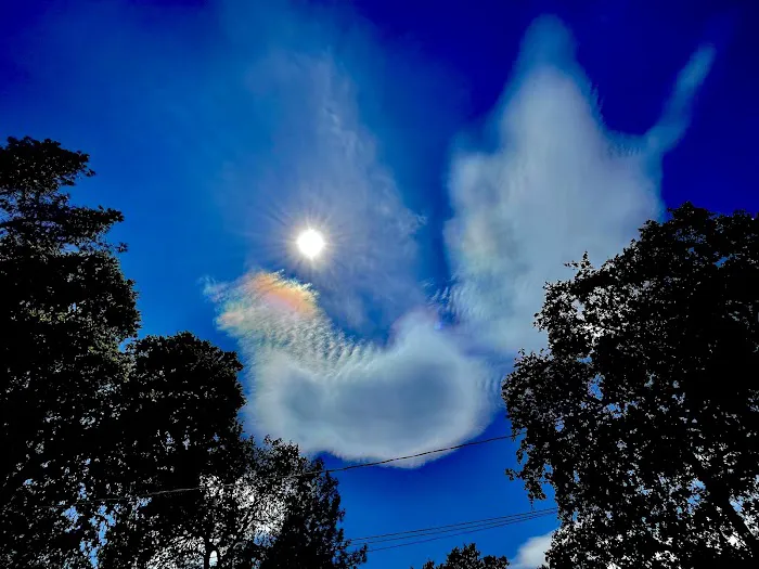 Shasta Lake RV Resort-Campground Picture 8