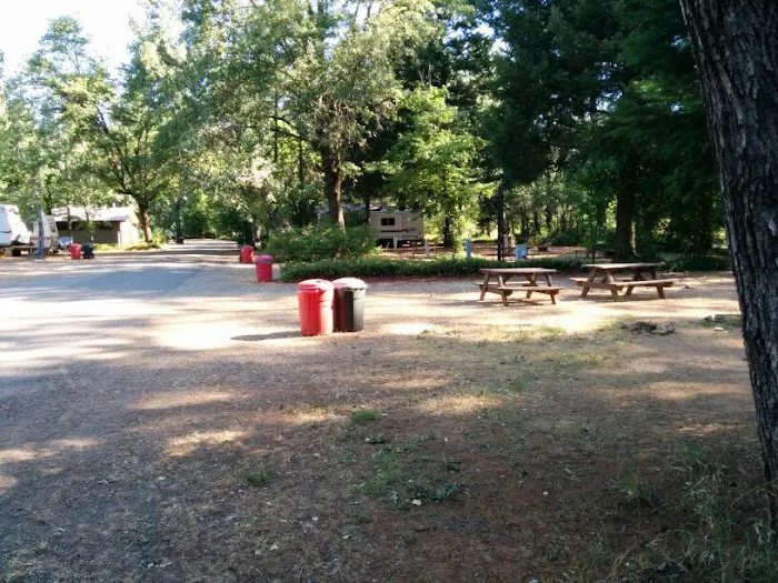 Shasta Lake RV Resort-Campground Picture 4