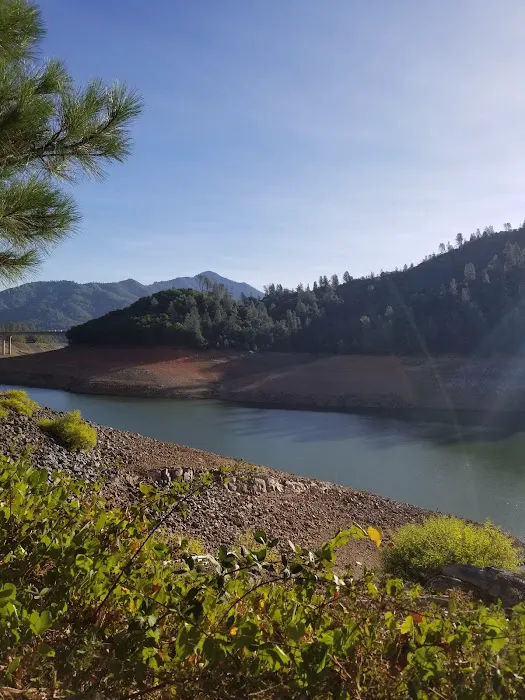 Shasta Lake RV Resort-Campground Picture 9