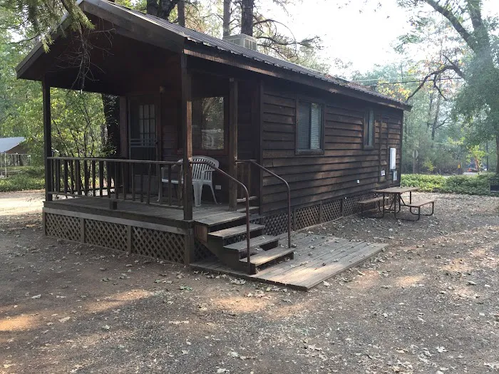 Shasta Lake RV Resort-Campground Picture 3