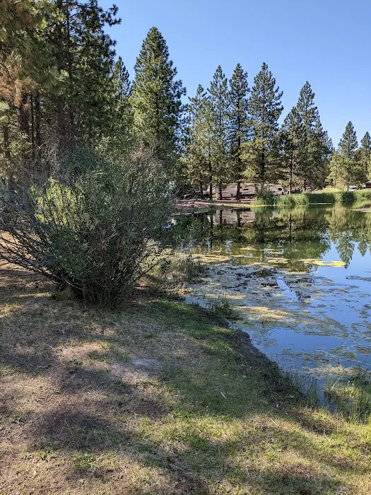 Burney Falls / Hat Creek KOA Holiday Picture 6
